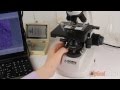 Микроскоп Konus Infinity-3. Видеообзор.