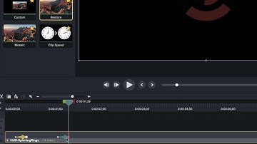 Camtasia 2020 - Remember Last Animation Easing
