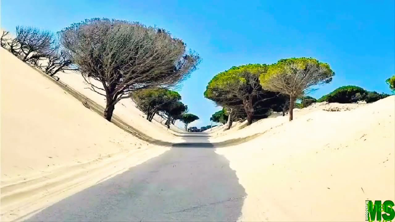 Fozia Soomro Marwari Song ||Uth Balamya Uthy Jo Apny Mulk Menhen Watho||All In One Totally Fun|