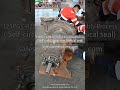 High-Performance 125PGY-42 Sand Slurry Pump | Low Wear Rate + Self-Circulating Seal #panstopump