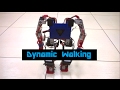 Humanoid (Dynamic walking)