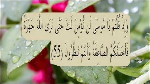 القران الكريم سورة البقرة الاية 55