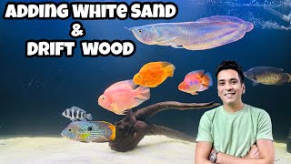 White Sand for Aquarium | Drift wood for Aquarium | Adding Sand for clear aquarium water |White Sand