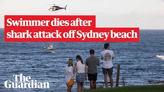 Sydney shark attack: search for remains after shark kills swimmer off Little Bay beach