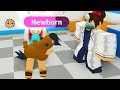 Going To The Doctor Adopt Me Gingerbread + Pets Roblox Online Game