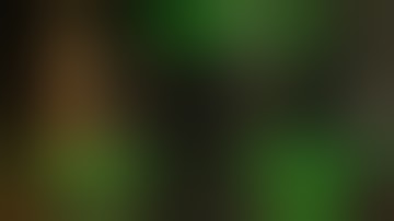 The Witcher 3 TurkishEnglish Part 18 Hunting a Witch & Wandering in the Dark I