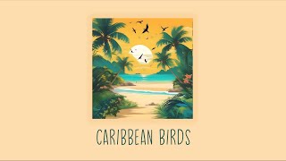 Caribbean Birds - CrisOnGrooves (royalty free music)