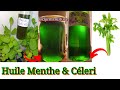 #98.Comment faire l'HUILE de menthe & céleri? Un prépoo pousse de folie fait maison. Fè Lwil mant