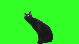 cat meme /greenscreen #greenscreen #greenscreenvideo #smile #memes #videomeme