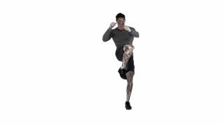 Cross Knee Strike