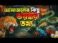 আমাজন জঙ্গলের কিছু ভয়ঙ্কর তথ্য ||Some Terrifying Facts About the Amazon Rainforest