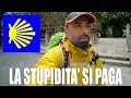 11 - La Stupidità Si Paga - Cammino Di Santiago -  Villafranca Montes De Oca/Burgos