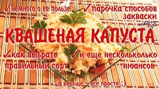 Квашеная капуста: пара способов закваски, как выбрать нужный сорт, немного о пользе и другие нюансы Квашеная капуста: пара способов закваски, как выбрать нужный сорт, немного о пользе и другие нюансы