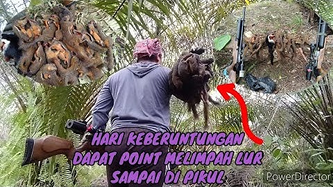 BERBURU HAMA TUPAI DI SPOT RAHASIA, POINT BANYAK.