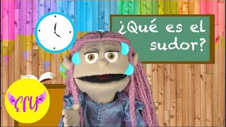 ¿Qué es el sudor y por qué sudamos? | videos educativos para niños