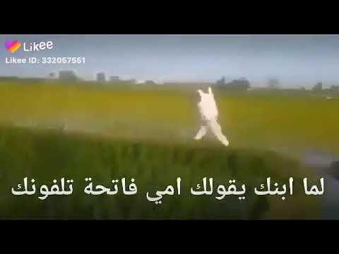 استر يارب
