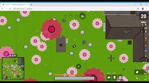 Surviv.io Solo Win 11 kills!
