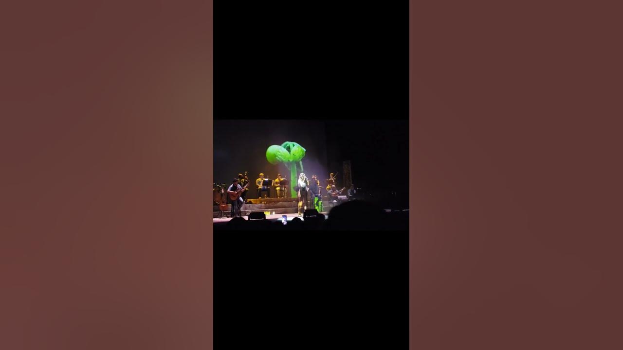 Los Paisajes de Soledad Pastorutti Teatro Coliseo