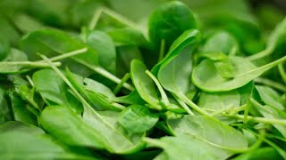 Can Goats Eat Spinach? 🥬 (Health Benefits/Risks)