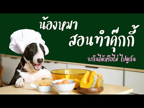 วีดีโอ: วิธีทำเค้กสำหรับแมวสูตรมะพร้าวเพื่อสุขภาพ