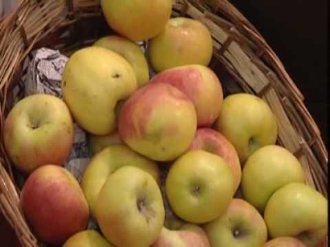 Video: ¿Es seguro comer manzanas silvestres? - Información sobre el consumo de manzanas silvestres