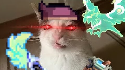 DECARABIA RANGER ARENA ( NOT ) GUIDE + GAMEPLAY │ My heroes: Dungeon raid