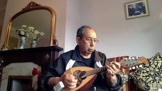 Chaudhavin Ka Chand Ho on mandolin