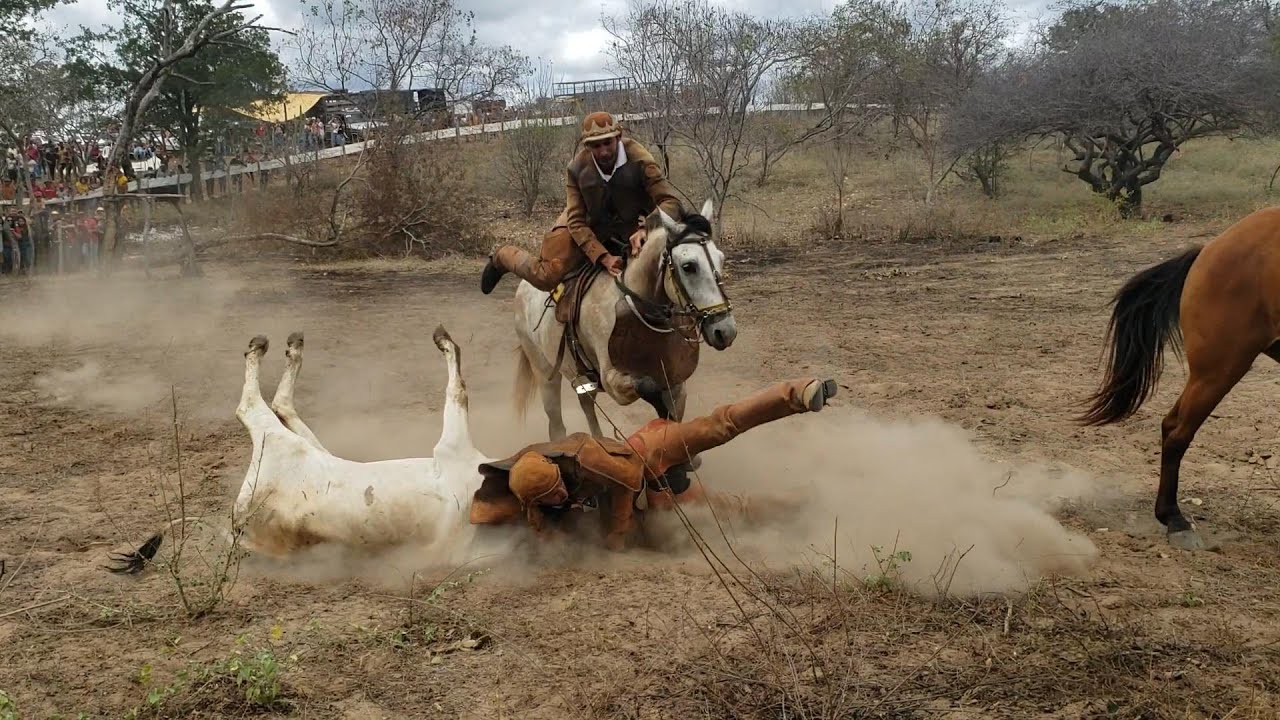 A DISPUTA PRA VER QUEM PEGA O BOI MAIS RÁPIDO NO URIMAMÃ-PE