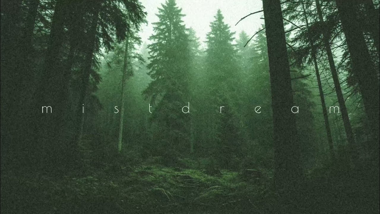 Relaxing Ambient Music | Forest - Deep Sleep Music