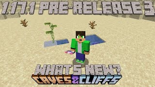 Minecraft 1.17.1 Pre release 3 (What's New)