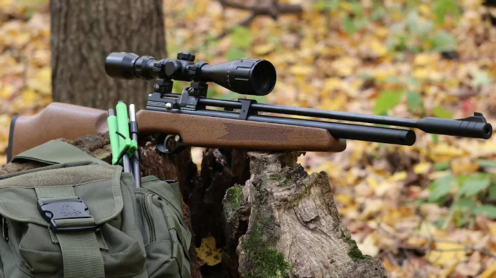 Airgun Hunting: Diana Stormrider on pest control d...