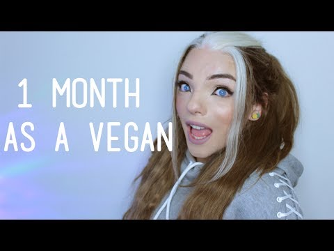 I Tried Veganism for a Month... | Stef Sanjati