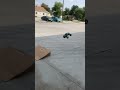 Traxxas stampede jumps ramp made from cardboard and hot glue