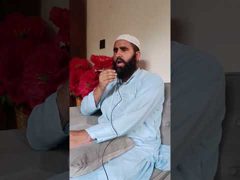  4 مور خور پلار 