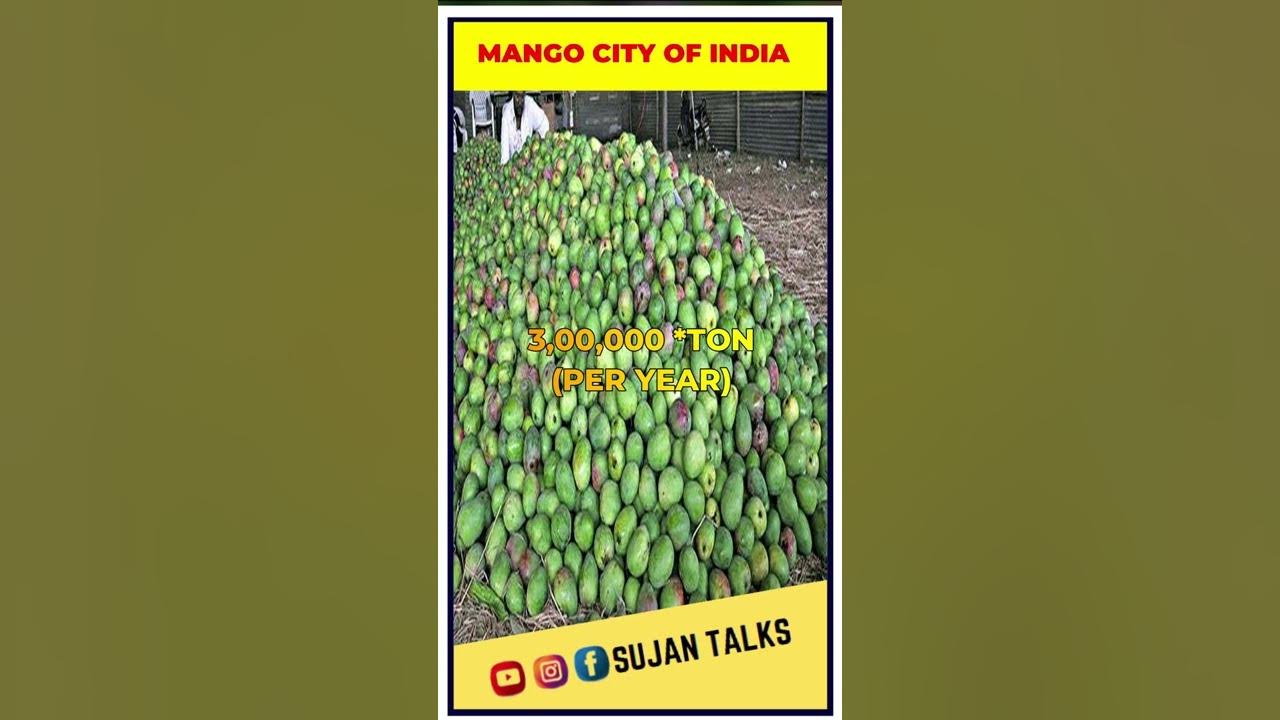 Mango City Of India Ll socialsujan Ll mango YouTube mango-city-of-india-ll-socialsujan-ll-mango-youtube