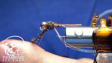 Fly Tying, Jigged CDC Pheasant Tail