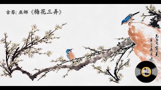 古琴名曲《梅花三弄》: 巫娜/ Chinese Traditional Music, Guqin ' Three Variations on Plum Blossom': WU Na