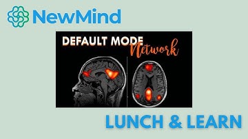Default Mode Network