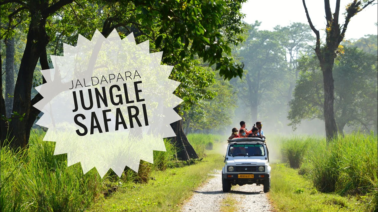 jaldapara jungle safari car