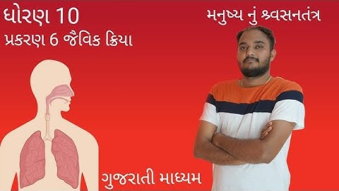 STD 10 || વિજ્ઞાન  || પ્રકરણ 6  || જૈવિક ક્રિયાઓ|| મનુષ્ય નું શ્વસનતંત્ર