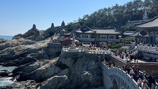 DND 902: Visiting a STUNNING Temple in Busan