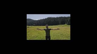 YEŞİLİN ELLİ TONU 🌲🍀🌳🌿