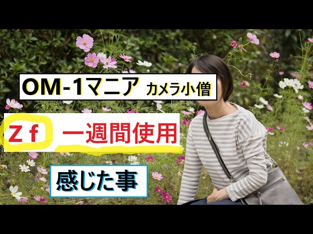 カメラ小僧 OMｰ1 マニアのカメラ小僧が Zf を購入して初めの1週間で感じた事 NO484