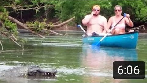 Remote Controlled Alligator Prank Just For Laughs😂💔🤯🤬