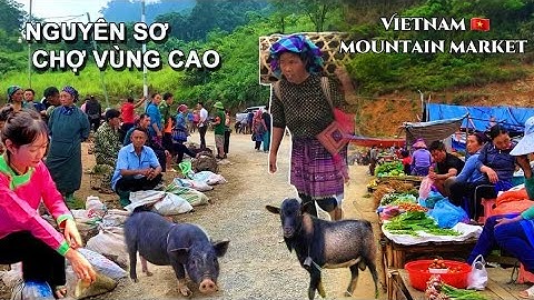 Nguyên Sơ & Đặc Sắc | Chợ Phiên Cốc Ly Bắc Hà – Dê Núi, Lợn Cắp Nách & Thảo Dược Quý Hiếm