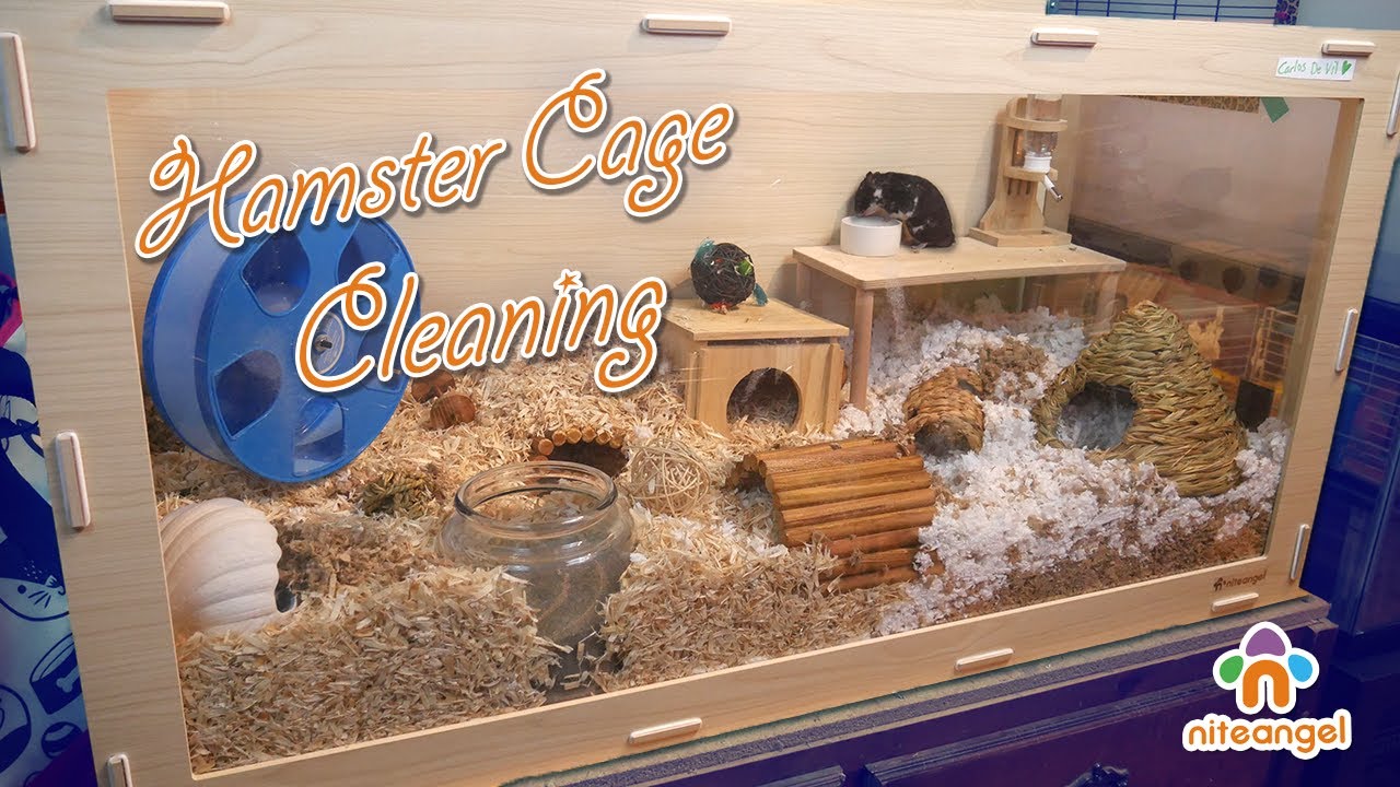 4. Inspiration for Hamster Cage Setups: Niteangel Pet's Instagram Page