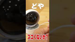 ドンキの防犯カメラは見た!!!#shorts