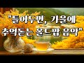 Playlist 올드팝 그냥 틀어두면 가을에 듣기 좋은 음악 추억의 올드팝 플리 잔잔한 카페음악 감성음악 힐링음악 모음 플레이리스트