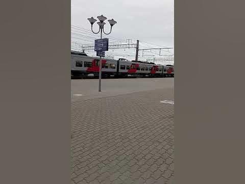 Фирменный поезд "Ласточка" Москва-Минск прибывает на ст. Орша. #shorts ...