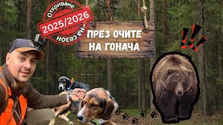 видео: Групов ЛОВ на ДИВИ ПРАСЕТА! ПРЕЗ ОЧИТЕ НА ГОНАЧА ЕП.6 картинка: Групов ЛОВ на ДИВИ ПРАСЕТА! ПРЕЗ ОЧИТЕ НА ГОНАЧА ЕП.6